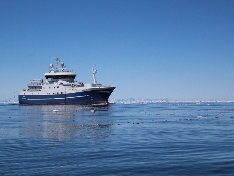 Geir II