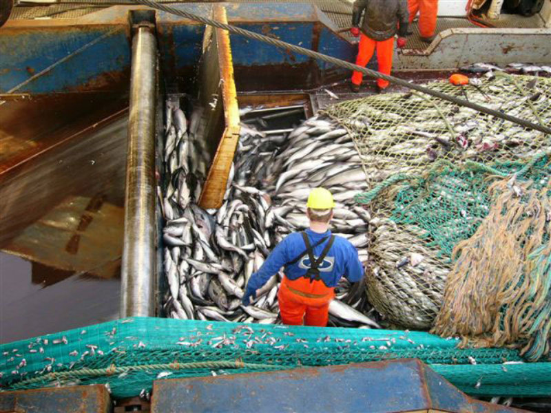 Shetland 2