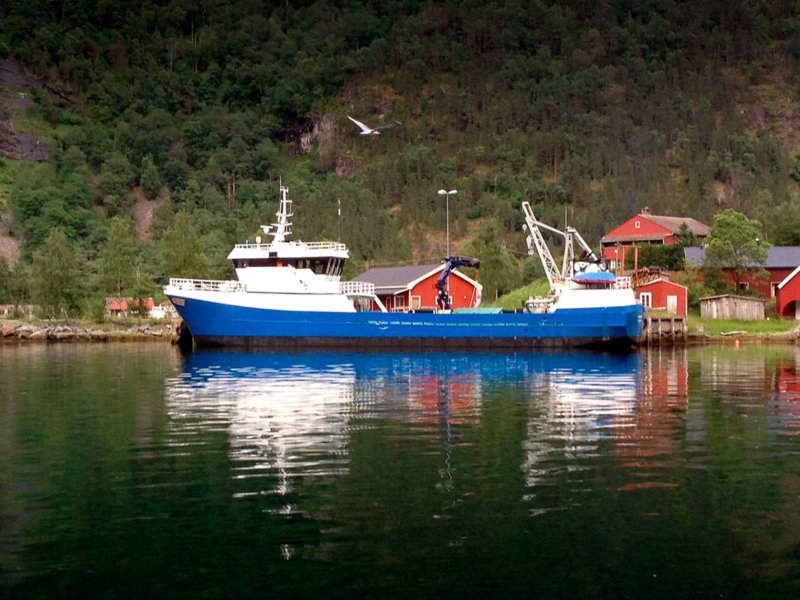 B/B “Havørn”